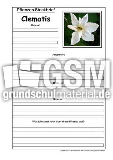 Pflanzensteckbrief-Clematis.pdf